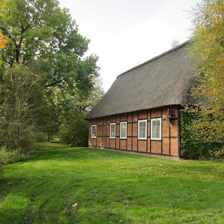 Gaestehaus Eulennest Grossenworden Buitenkant foto