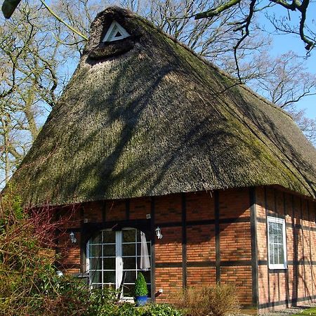 Gaestehaus Eulennest Grossenworden Buitenkant foto